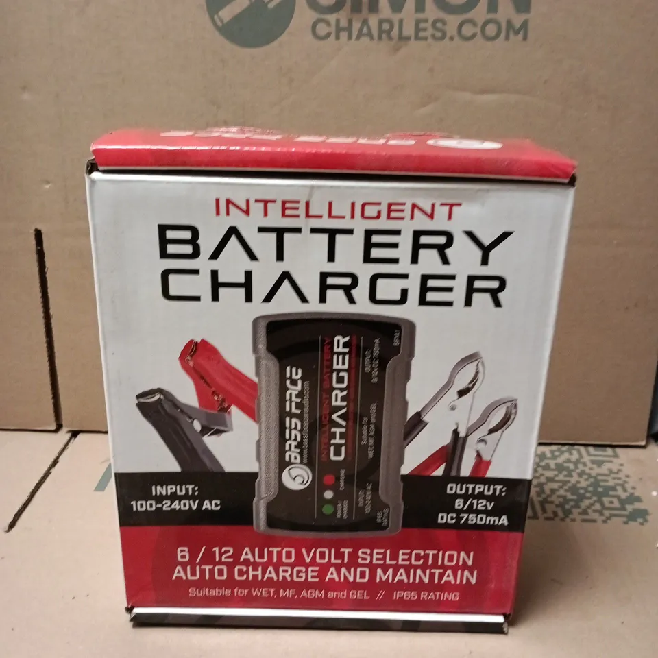 BOXED BASS FACE INTELLIGENT BATTERY CHARGER