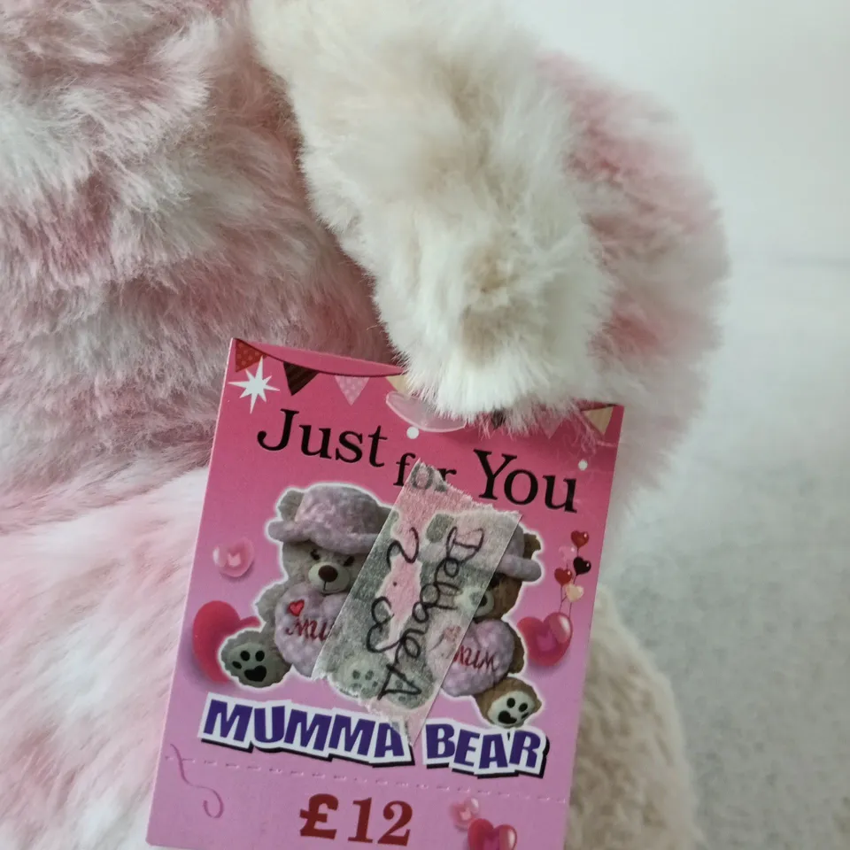 SOFT PINK PLUSH TEDDY BEAR – 'MUMMA BEAR' (JUST FOR YOU) 