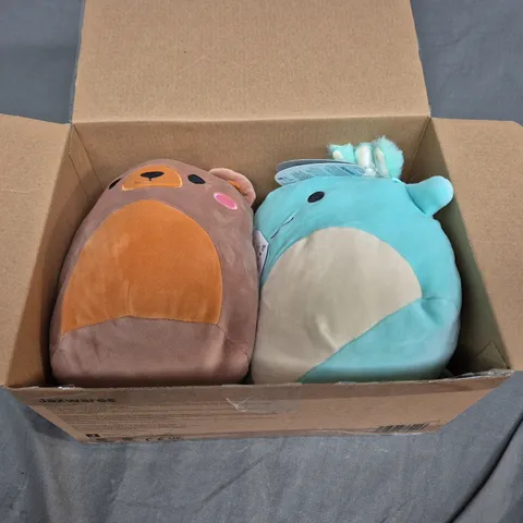 BOX OF 2 SQUISHMALLOW TEDDIES