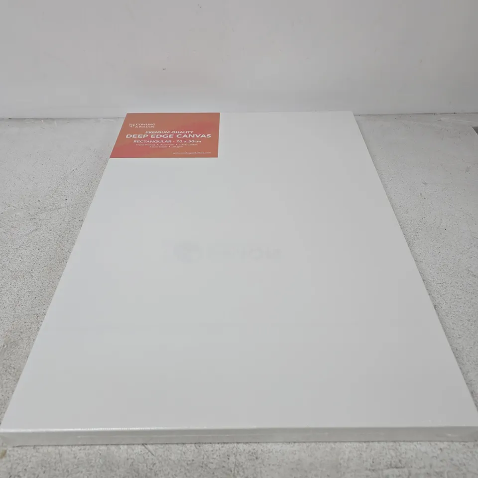COWLING & WILCOX PREMIUM QUALITY DEEP EDGE CANVAS 70 X 50 CM