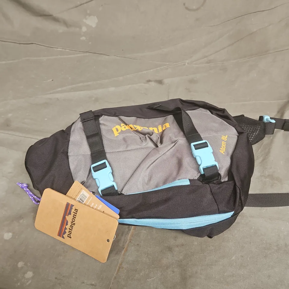 PATAGONIA HIP PACK