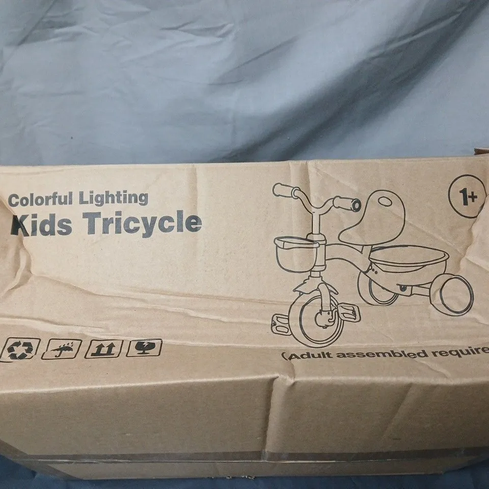 COLOURFUL LIGHTING KIDS TRICYCLE – BOXED 