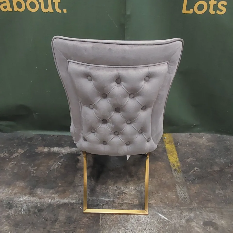 DESIGNER ELEGANT VELVET UPHOLSTERED DINING CHAIR WITH GOLD LEGS