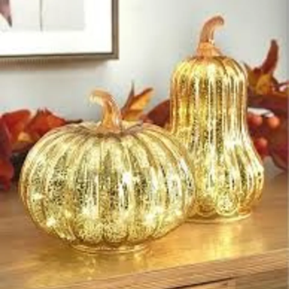 BOXED LIGHT UP PUMPKIN AND GOURD SET