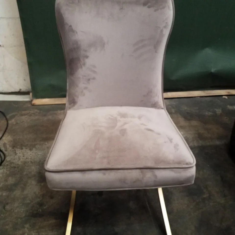 MINK VELVET DINING CHAIR