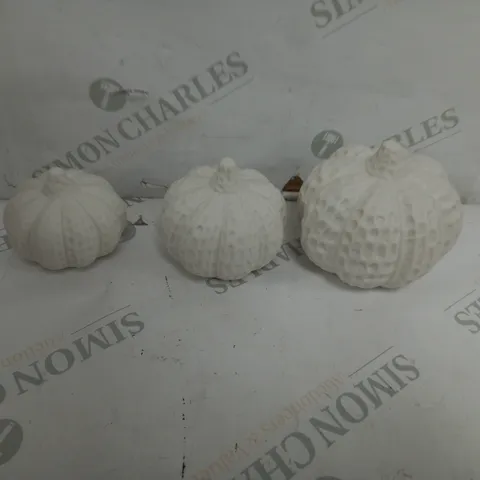 DECORATIVE PUMPKINS