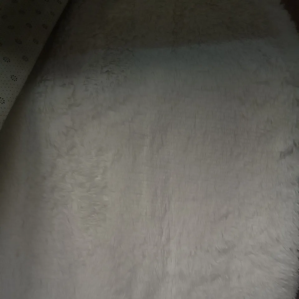 CHALANDA SHAGGY COMFY WHITE RUG 120X160CM