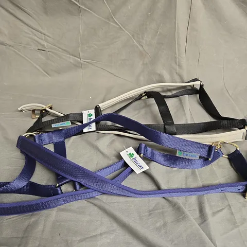 BUCAS X2 DUBLIN HALTERS IN BLUE/BLACK & SILVER