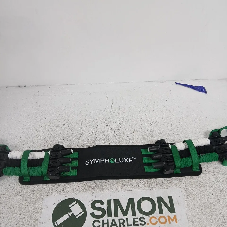 GYMPRO LUXE RESISTANCE TRAINING STRAP WITH GRIPS – BLACK/GREEN