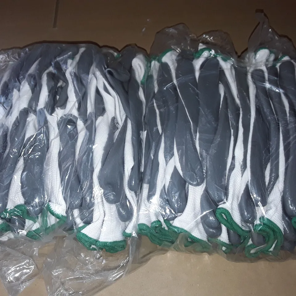 2 10-PACKS OF CLICK 2000 GLOVES