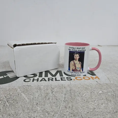 HARRY STYLES THEMED MUG IN BOX