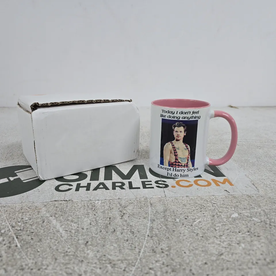 HARRY STYLES THEMED MUG IN BOX