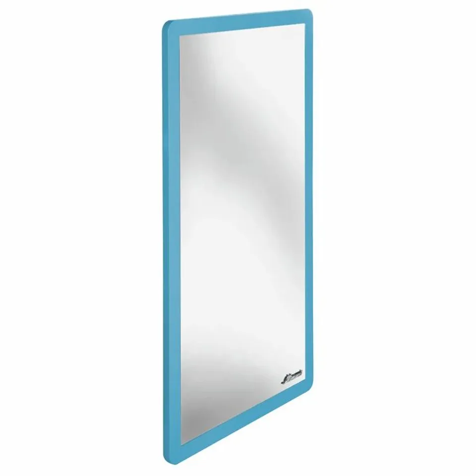 BOXED BLOVICE WALL MIRROR 1 BOX