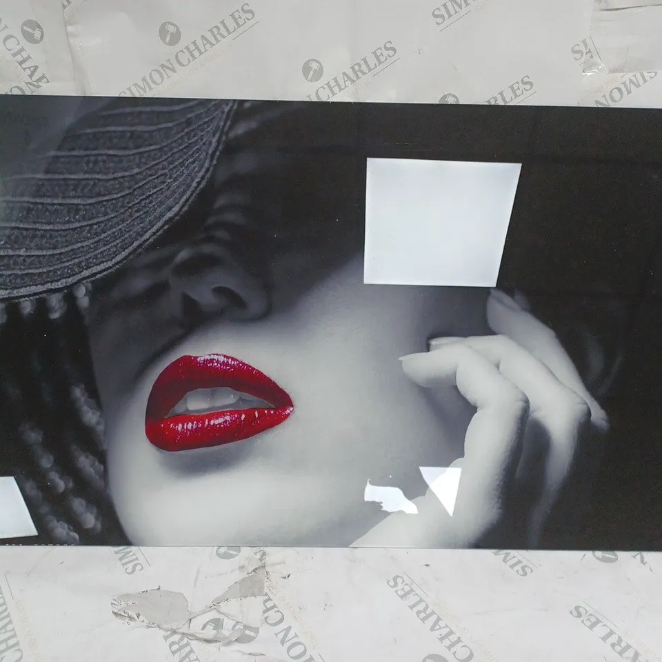 GRAZ DESIGN WOMAN RED LIPS HAT PHOTOGRAPHIC PRINT ON ACRYLIC GLASS 50 X 100CM COLLECTION ONLY