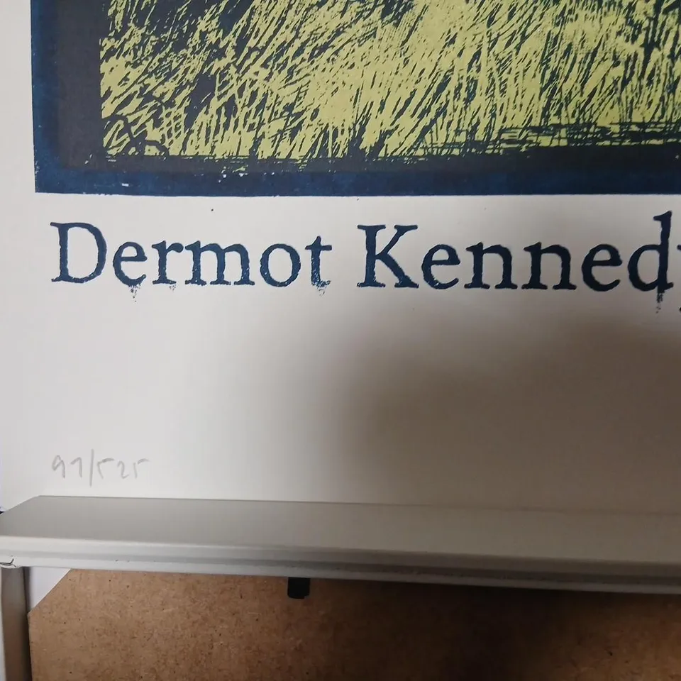 Dermot Kennedy – The Weight of the Woods Screenprint signed and numbered # 97/525