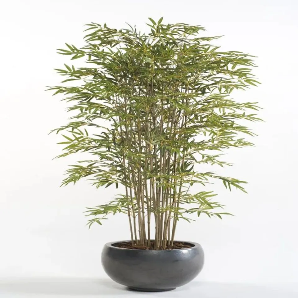 EMERALD ARTIFICIAL 150CM JAPANESE BAMBOO PLANT