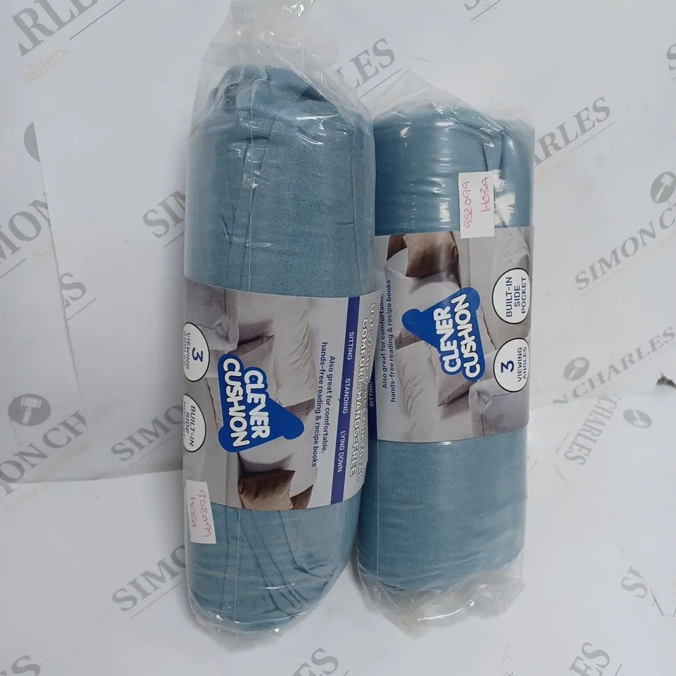 2 X MUST HAVE IDEAS CLEVER CUSHION 