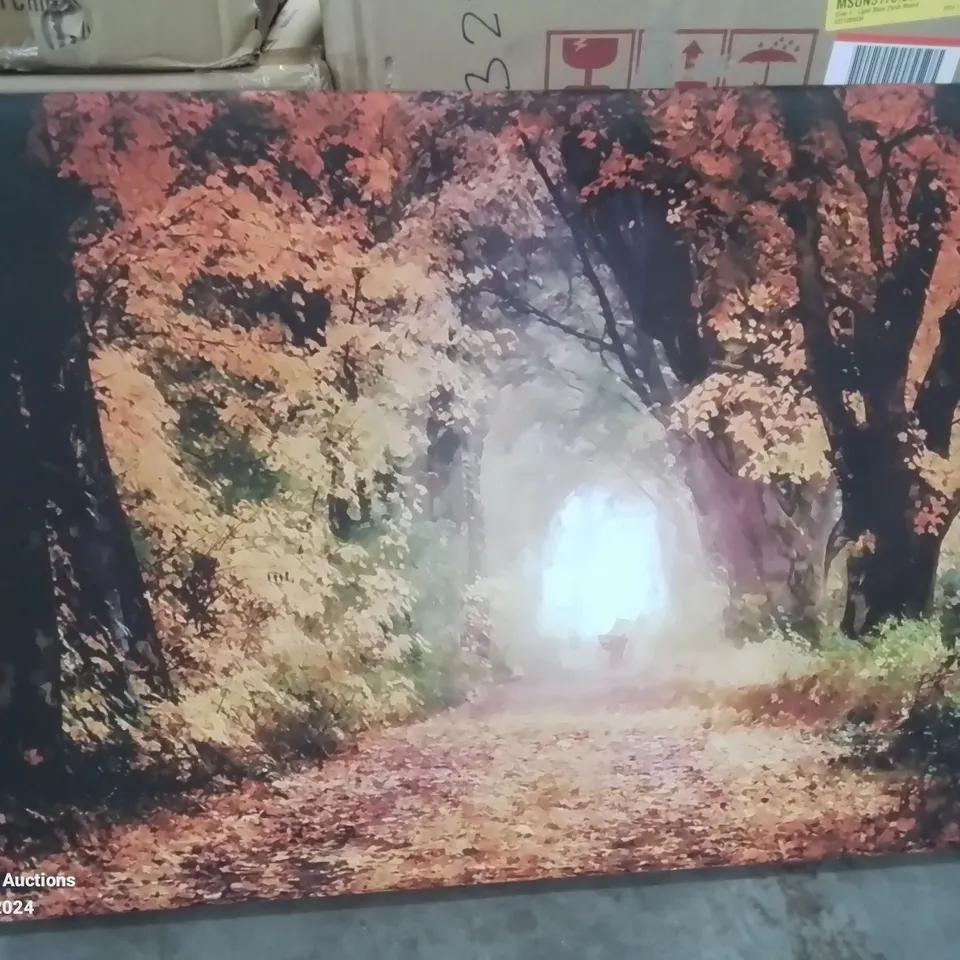 HEADING THROUGH THE AUTUMN FOREST CANVAS