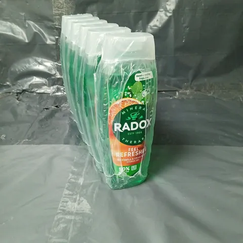 LOT OF 6 RADOX EUCALYPTUS AND CITRUS SHOWER GEL - 450ML PER BOTTLE