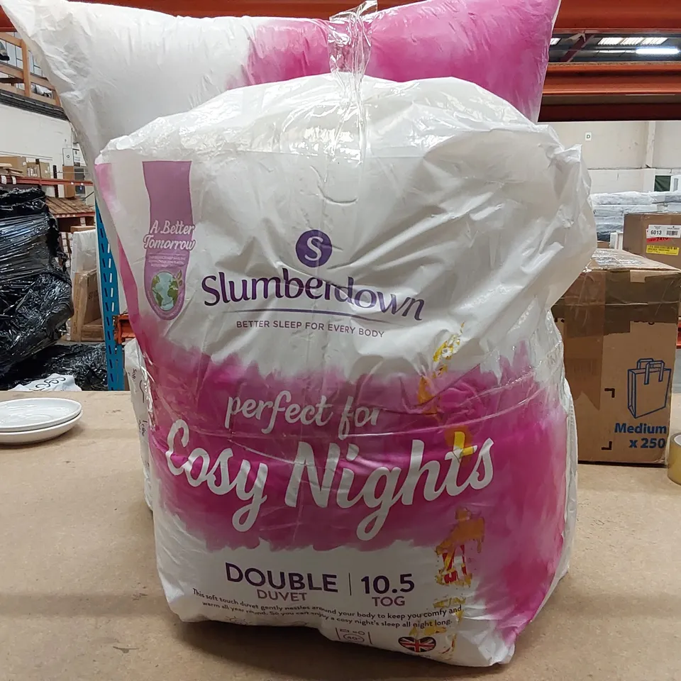 BAGGED SLUMBERDOWN COSY NIGHTS 10.5 TOH ALL IN 1 DOUBLE DUVET AND 2 PILLOW SET (1 ITEM)