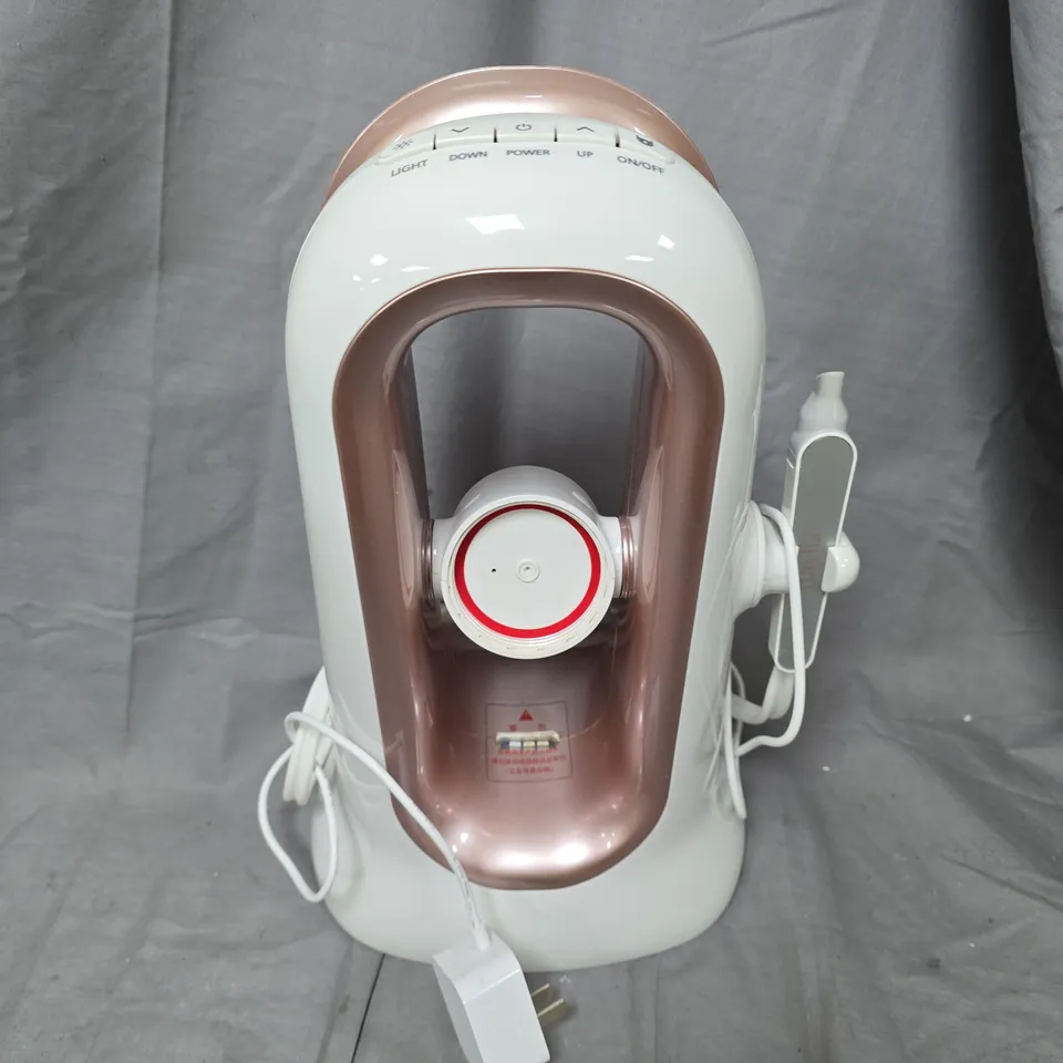 RAYLIS RUIYI PETIT BUBBLE BEAUTY DEVICE