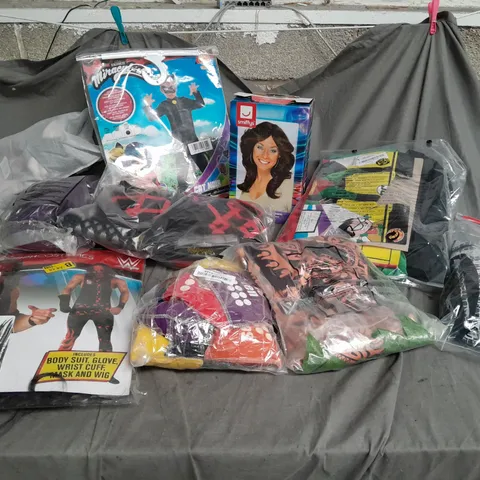 15 ASSORTED ITEMS TO INCLUDE: SMIFFYS WIG, CAT NOIR COSTUME, WRESTLING COSTUME, SPIDERMAN, WHERES WALLY ETC