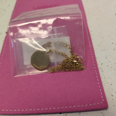 FRANKY GOLD-TONE PENDANT NECKLACE WITH CHAIN – PINK PRESENTATION WALLET