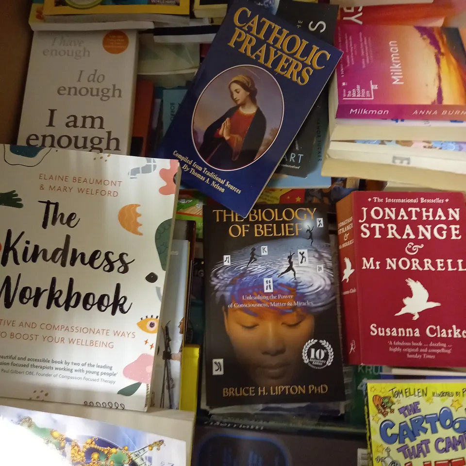 CAGE OF APPROXIMATELY 150 ASSORTED BOOKS, TO INCLUDE HILLARY CLINTON, ESSAYS IN BIOCHEMISTRY, IAN MCEWAN (SIGNED), ETC - COLLECTION ONLY