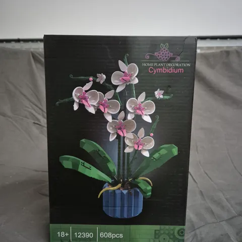 HOME PLANT DECORATION - CYMBIDIUM - 12390