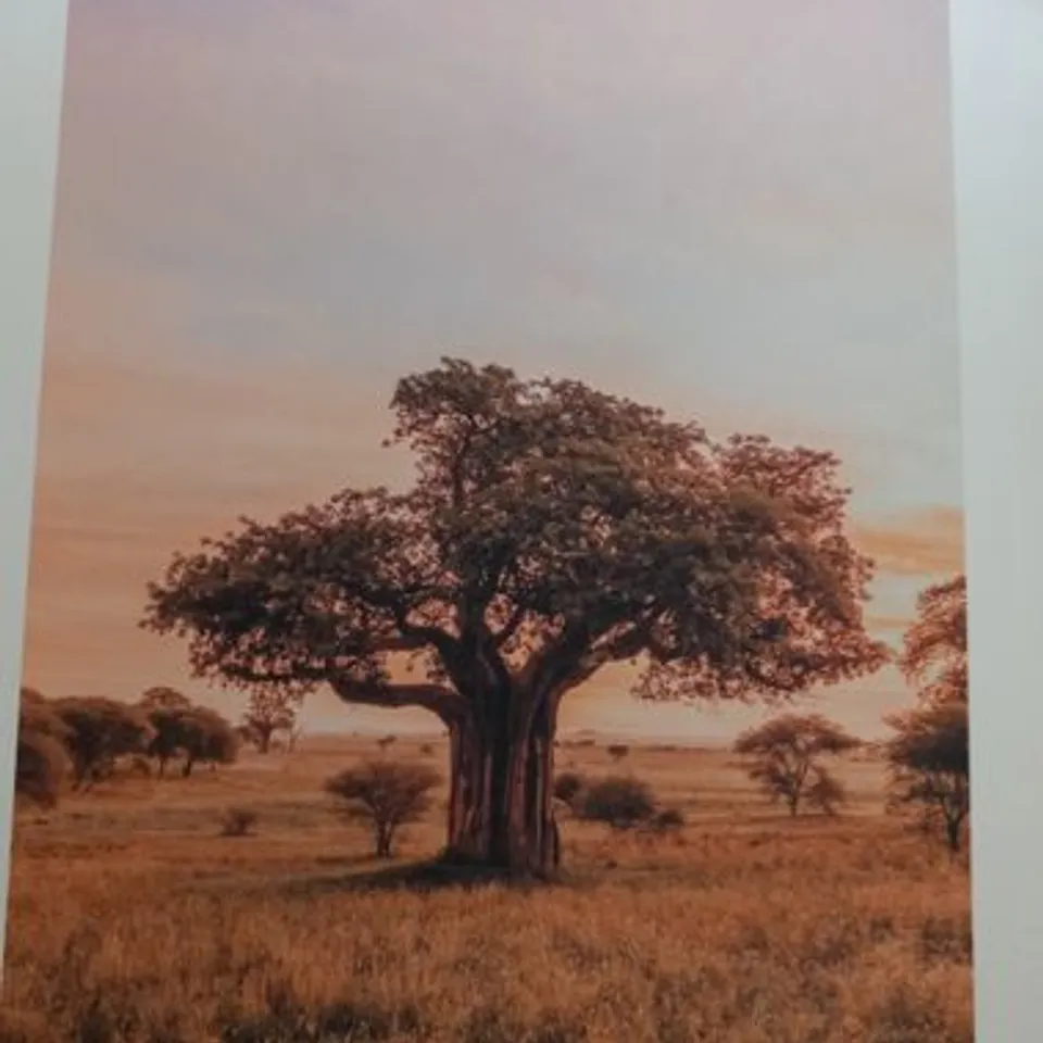 SEVEN AFRICAN INSPIRED PRINTS TO INCLUDE; MALE LION, ELEPHANT, ELEPHANT WITH CHILD AND TRIBL PATTERNS
