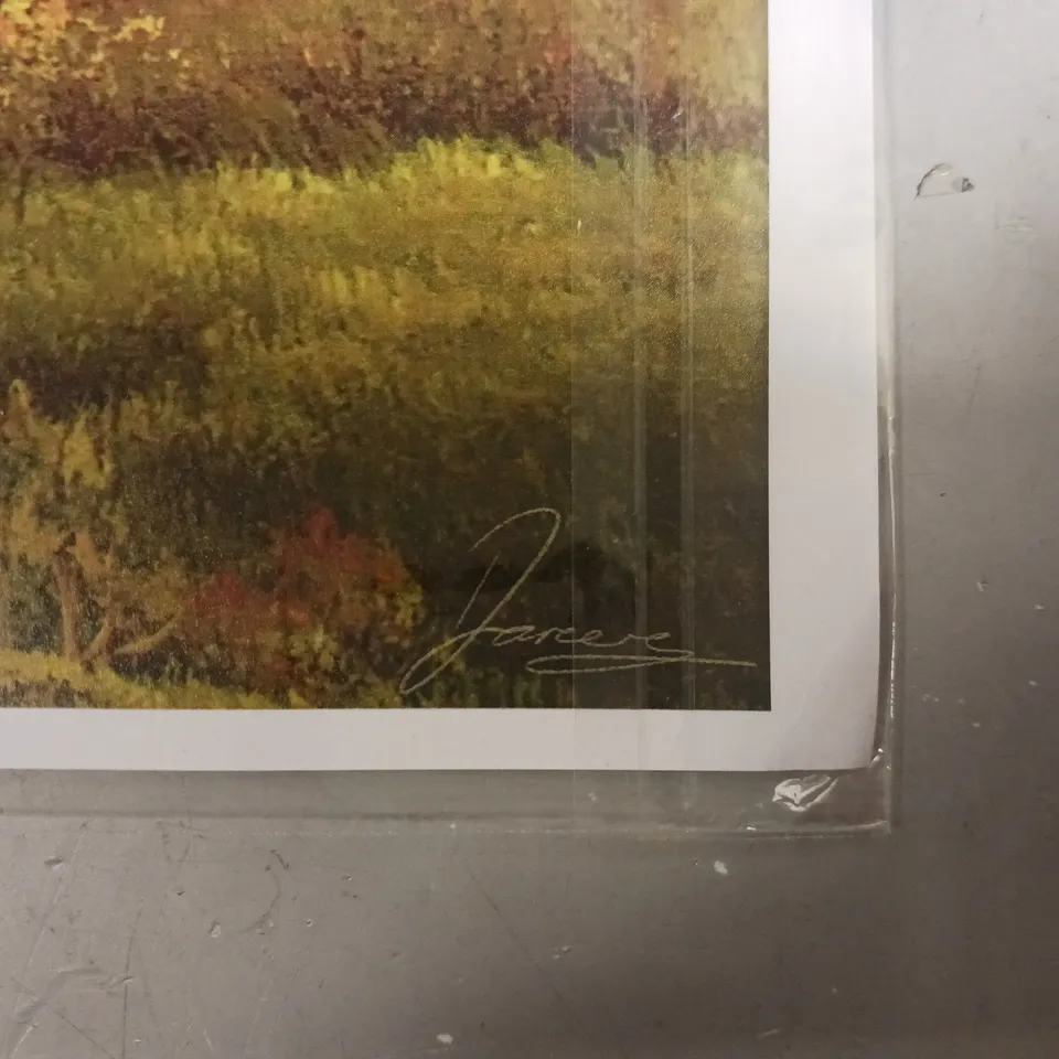 SIGNED HARRY POTTER FLYING CAR ART PRINT