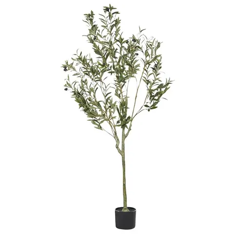 BOXED 153CM FAUX OLIVE TREE TREE IN PLASTIC/ ACRYLIC PLANTER (1 BOX)