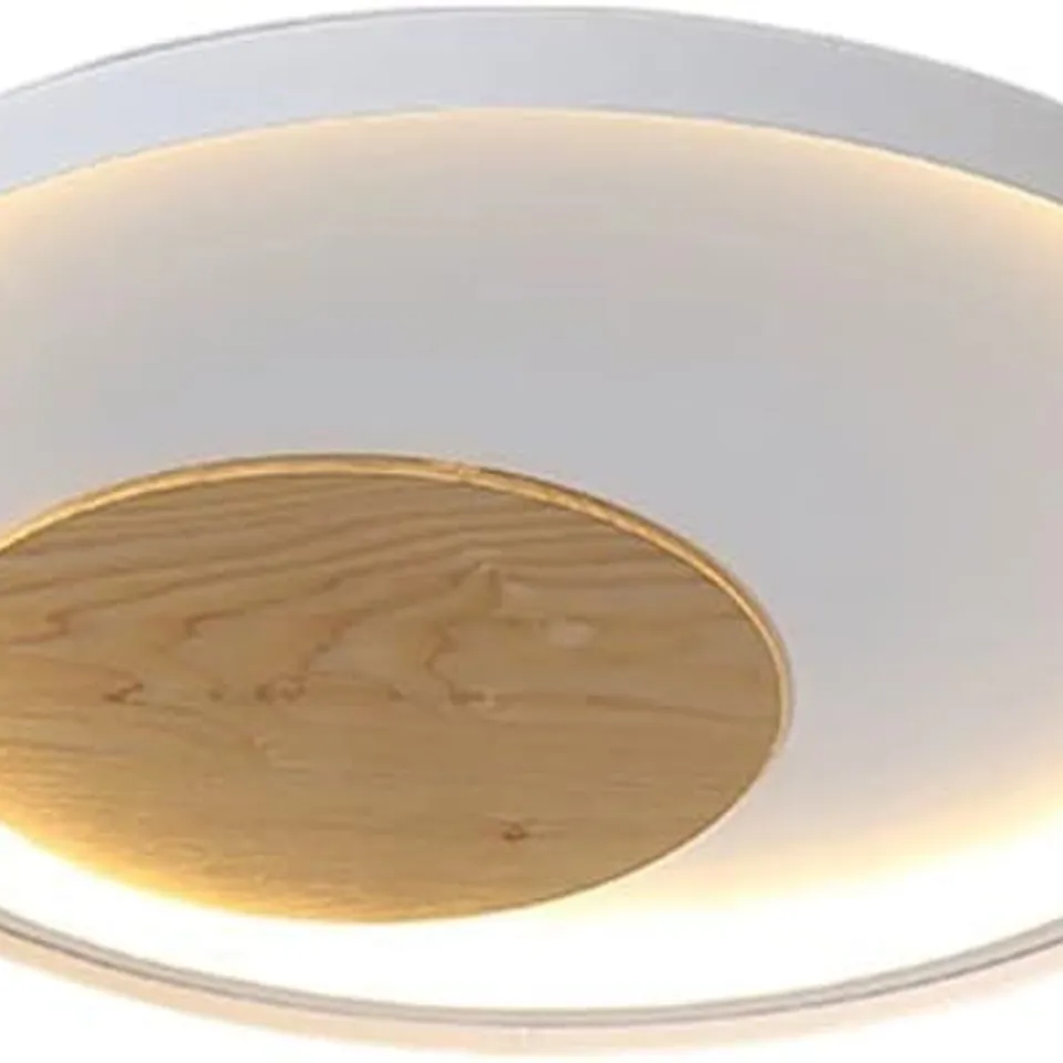 BOXED HOUSE ADDITIONS MULLEWA CEILING LAMP LED FLUSH MOUNT CRYSTAL MINIMALIST 1 LIGHT 9HX 25WX250CM