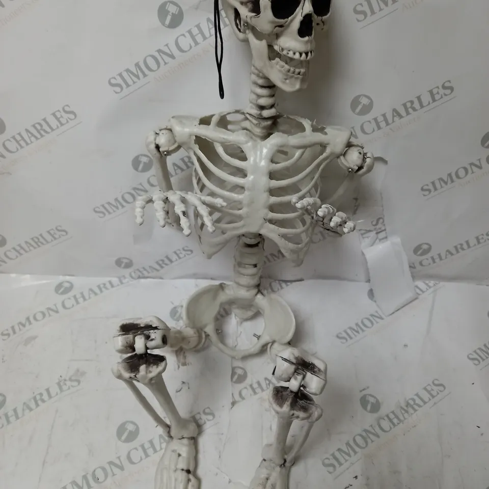 BOXED SKELTON HALLOWEEN DECORATION 