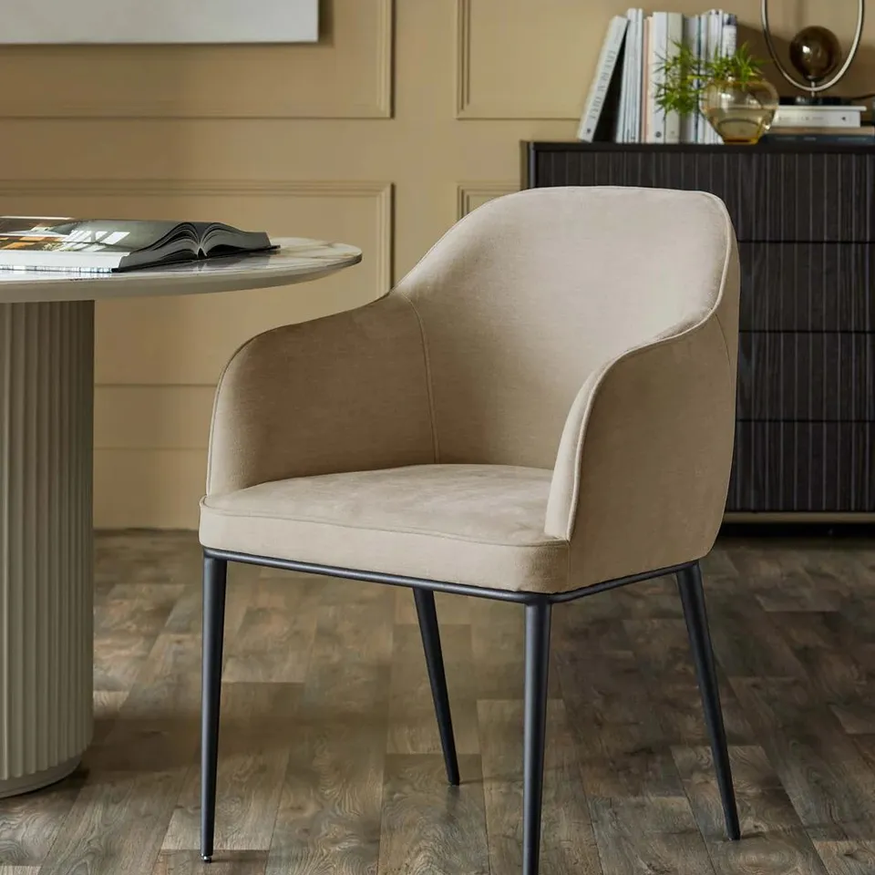 BOXED DANETTI HARLEY CHAMPAGNE CHENILLE DINING CHAIR