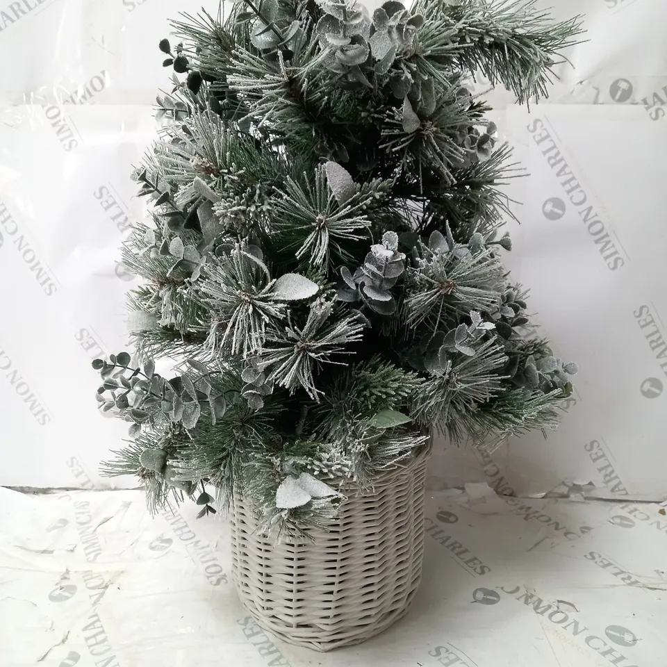 BOXED K BY KELLY HOPPEN COTSWOLDS CHOICE OF PRE-LIT GREENERY CHRISTMAS DECORATION
