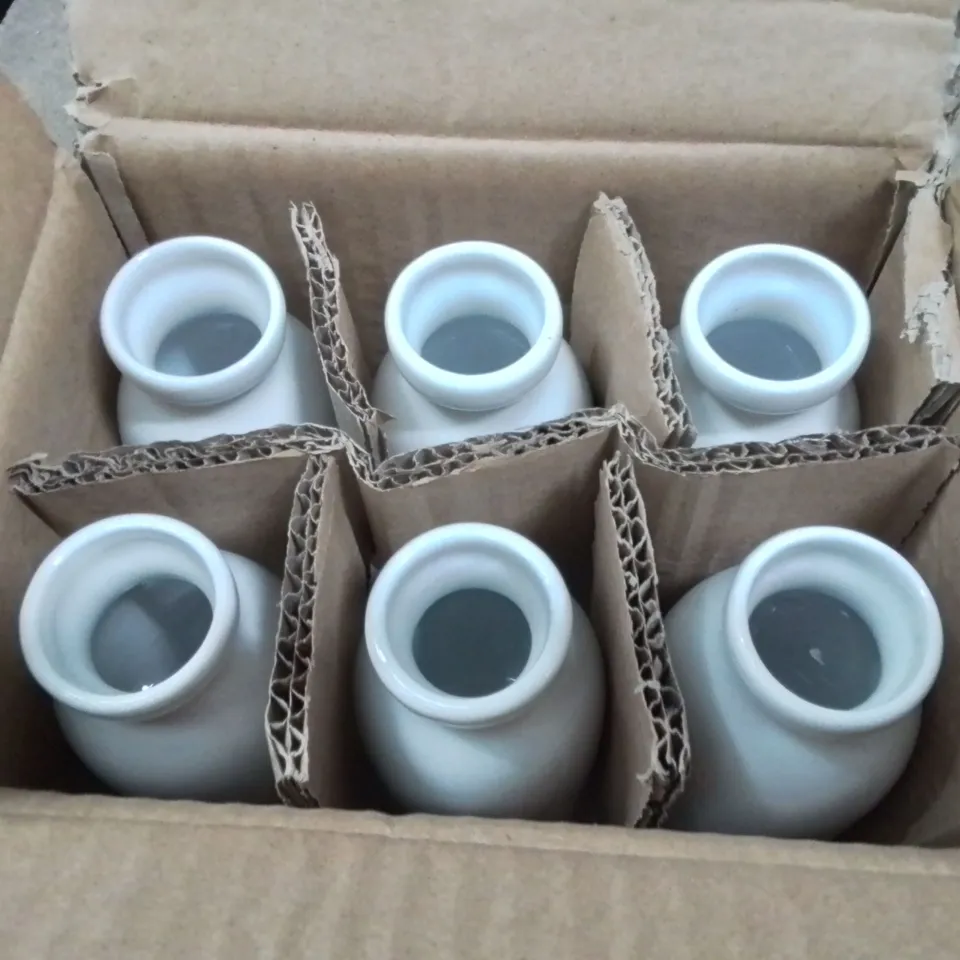 BOX CONTAINING 12 MINI TABLE VASES