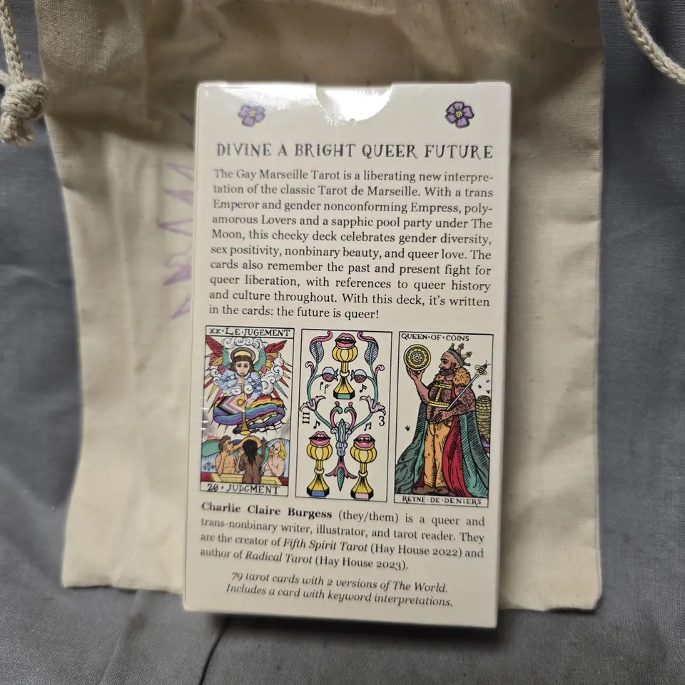 GAY MARSEILLE TAROT – 79-CARD DECK BY CHARLIE CLARE BURGESS (JOYFULLY QUEER TAROT)