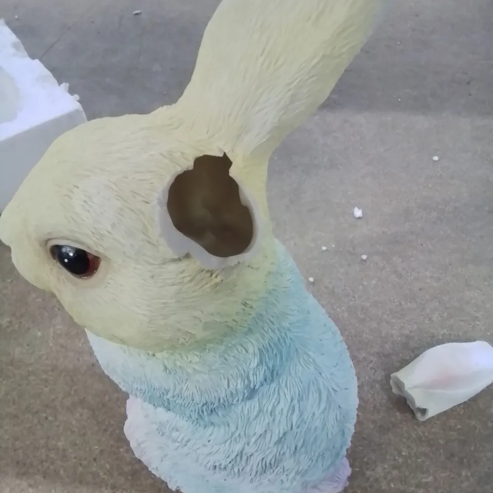 BOXED GARDEN RAINBOW BUNNY 