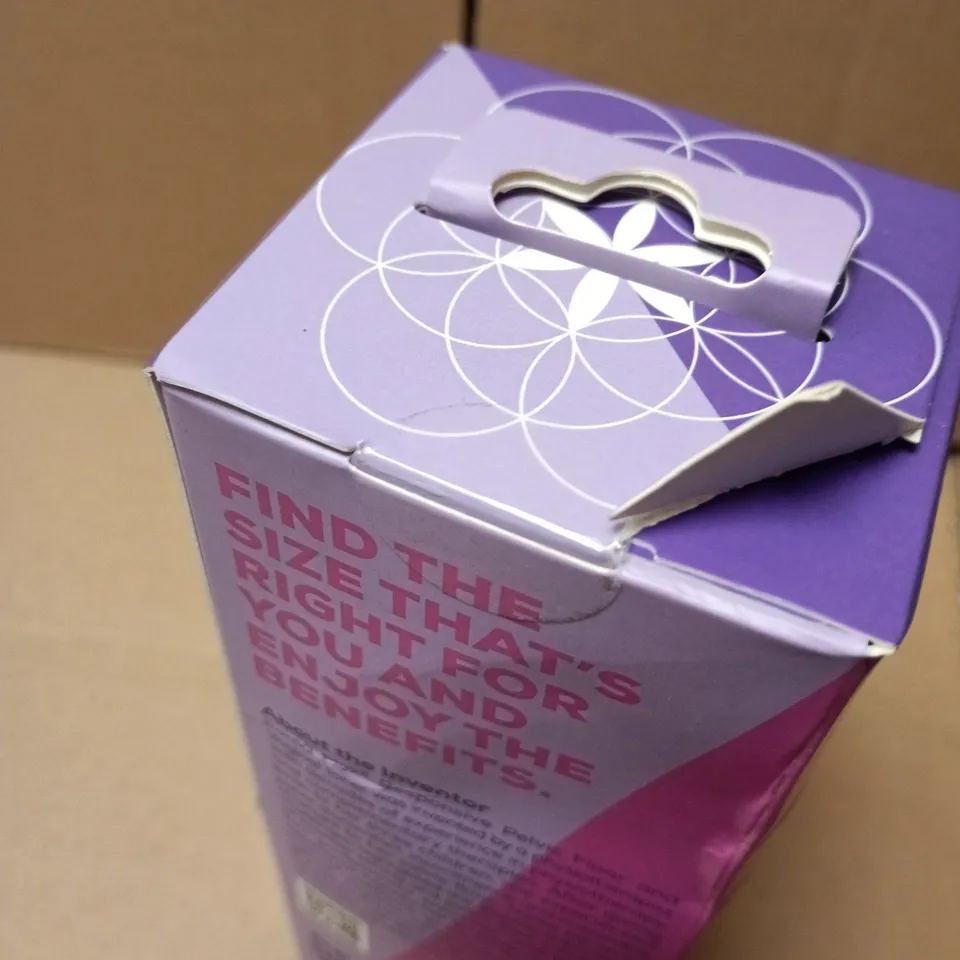 SEALED SOMAFLEX VAGINAL SIZING BALLS