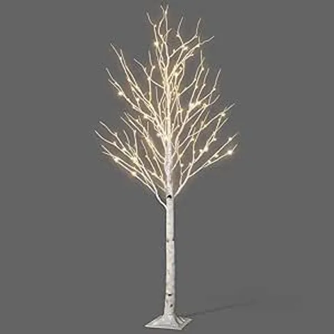 BOXED BIRCH TWIG TREE LIGHTED DISPLAY (1 BOX)