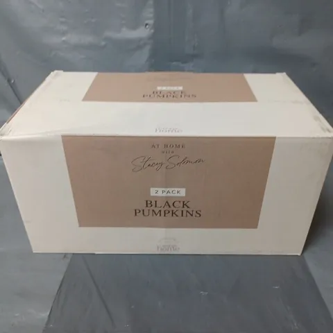 BOXED AT HOME WITH STACEY SOLOMON 2 PACK OF BLACK DECOR PUMPKINS