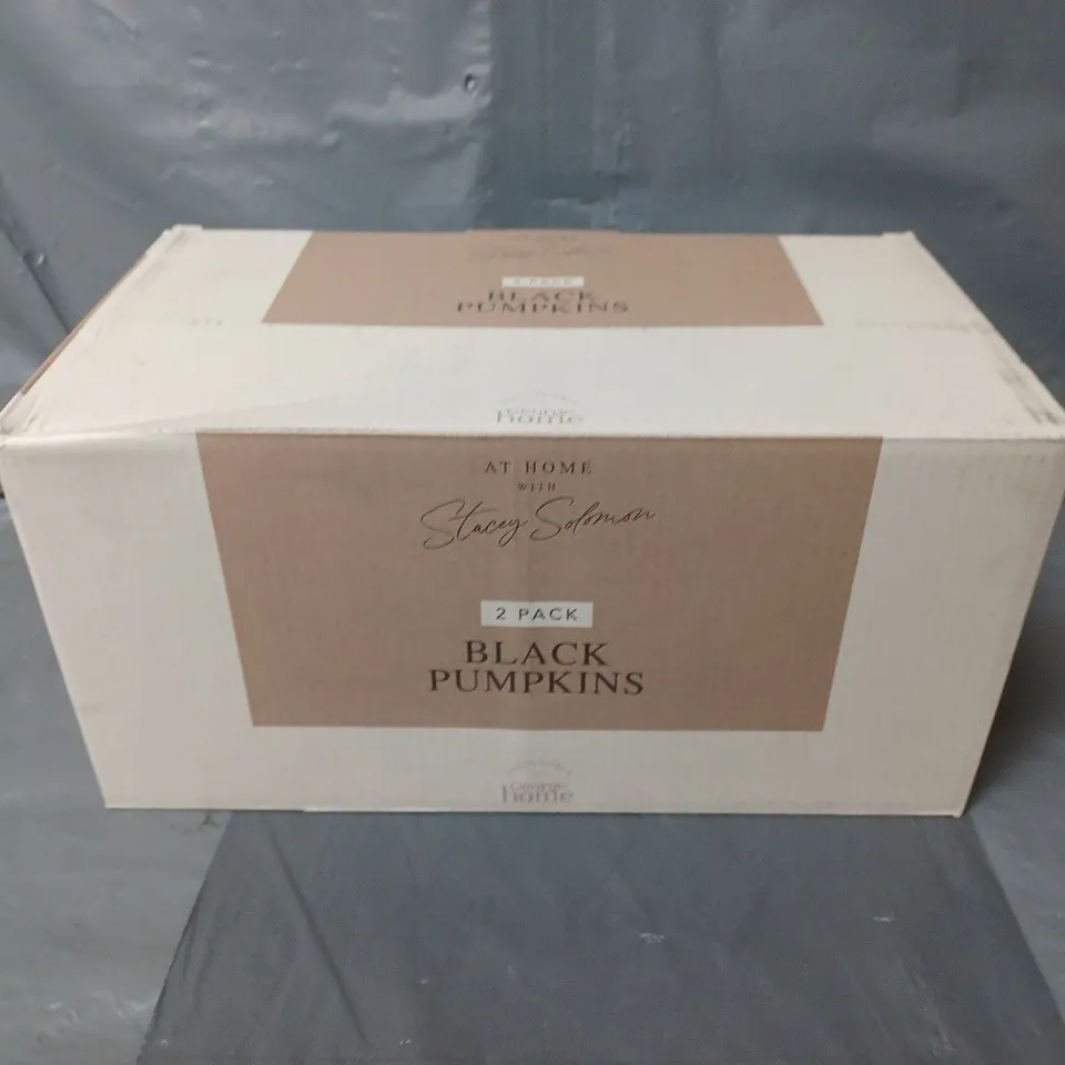 BOXED AT HOME WITH STACEY SOLOMON 2 PACK OF BLACK DECOR PUMPKINS