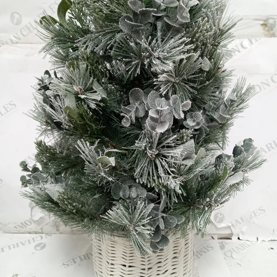 K BY KELLY HOPPEN COTSWOLDS CHOICE OF PRE-LIT GREENERY CHRISTMAS DECORATION