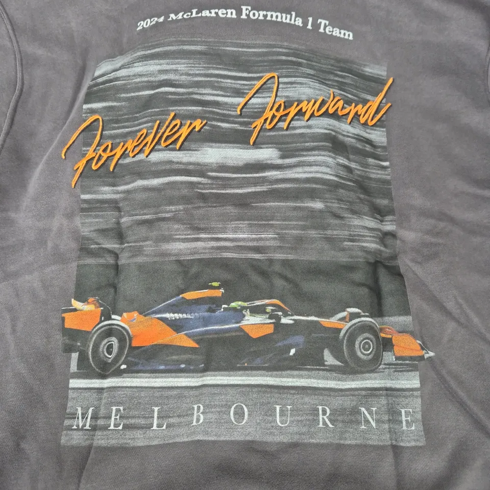 HOLLISTER MCLAREN FORMULA ONE LONG SLEEVE HOODIE IN GREY SIZE LARGE