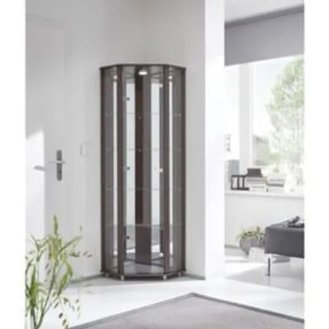 BOXED ELIZEL CORNER CURIO CABINET WITH LIGHTING (2 BOXES)