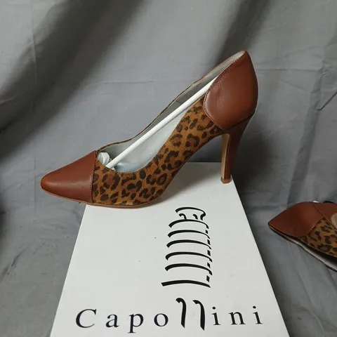 CAPOLLINI UK 7.5 LEOPARD PRINT LEATHER PUMPS β RAYNA TAN, EU 41