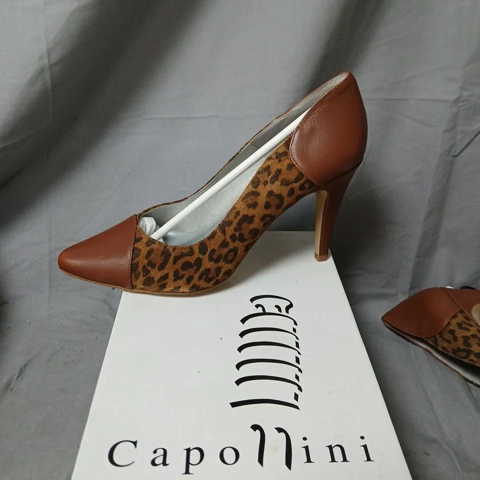 CAPOLLINI UK 7.5 LEOPARD PRINT LEATHER PUMPS – RAYNA TAN, EU 41