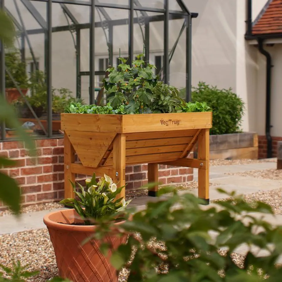 BOXED VEGTRUG CLASSIC 1M – NATURAL