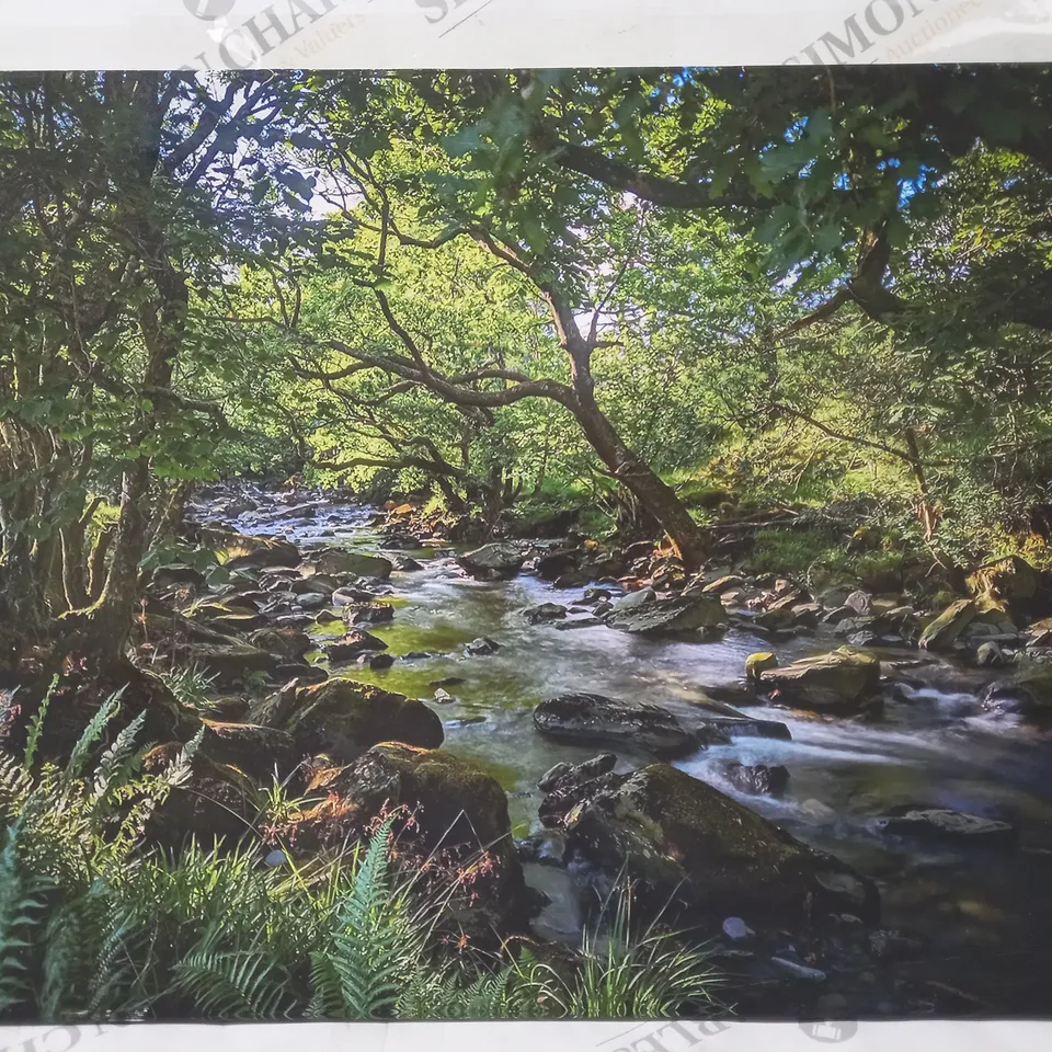 WOODLAND STREAM CANVAS ART PRINT